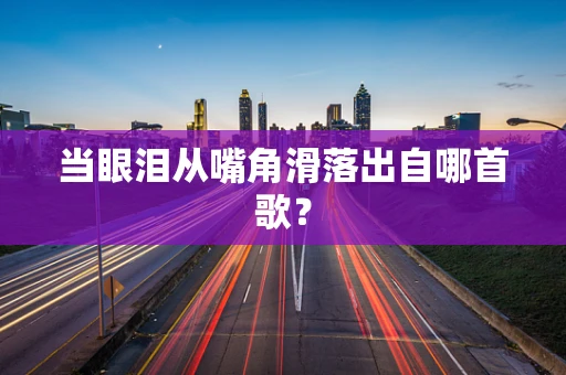当眼泪从嘴角滑落出自哪首歌？