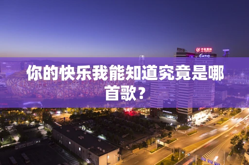 你的快乐我能知道究竟是哪首歌？
