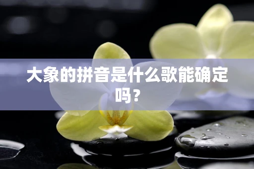 大象的拼音是什么歌能确定吗？