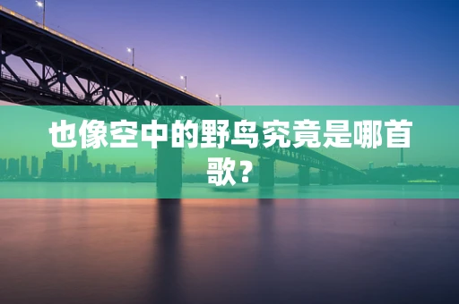 也像空中的野鸟究竟是哪首歌？