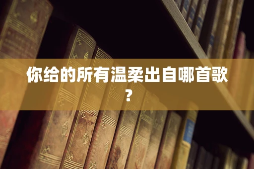 你给的所有温柔出自哪首歌？