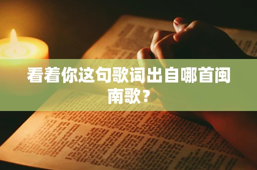 看着你这句歌词出自哪首闽南歌？