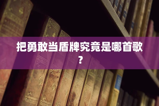 把勇敢当盾牌究竟是哪首歌？