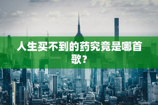 人生买不到的药究竟是哪首歌？