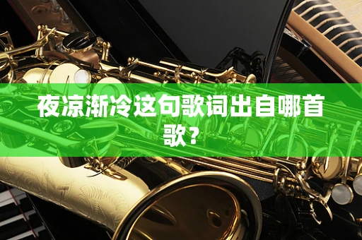 夜凉渐冷这句歌词出自哪首歌？