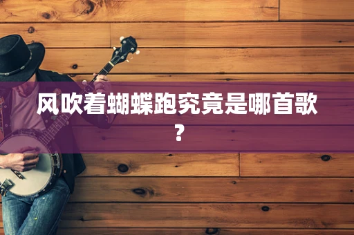 风吹着蝴蝶跑究竟是哪首歌？
