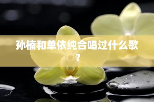 孙楠和单依纯合唱过什么歌？