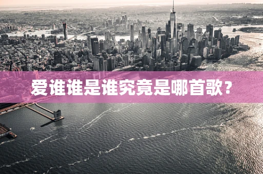 爱谁谁是谁究竟是哪首歌？
