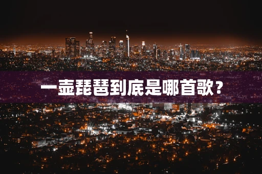 一壶琵琶到底是哪首歌？