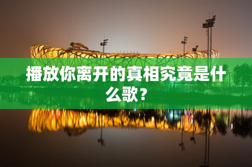 播放你离开的真相究竟是什么歌？