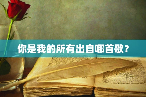 你是我的所有出自哪首歌？
