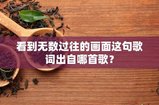 看到无数过往的画面这句歌词出自哪首歌？