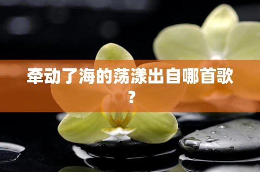 牵动了海的荡漾出自哪首歌？