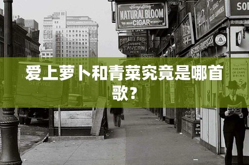 爱上萝卜和青菜究竟是哪首歌？