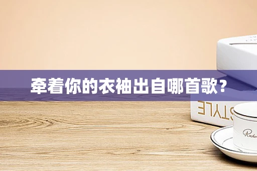 牵着你的衣袖出自哪首歌？