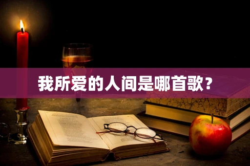 我所爱的人间是哪首歌？