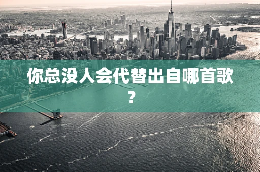 你总没人会代替出自哪首歌？