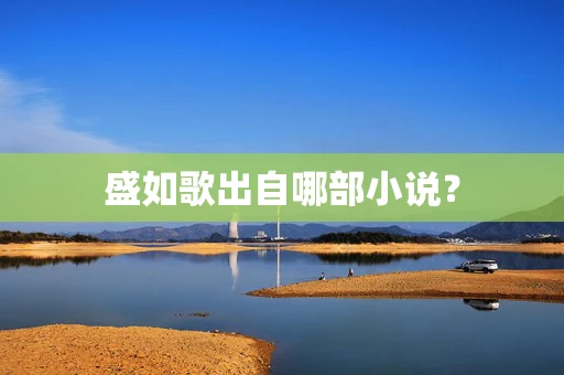 盛如歌出自哪部小说？