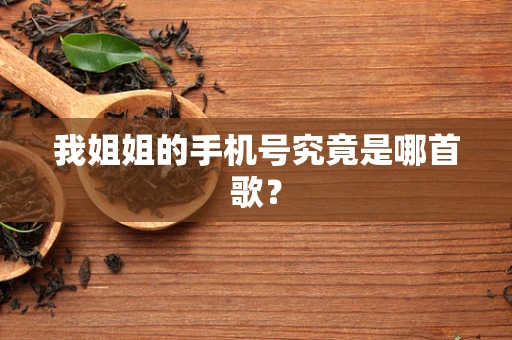 我姐姐的手机号究竟是哪首歌？