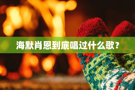 海默肖恩到底唱过什么歌？