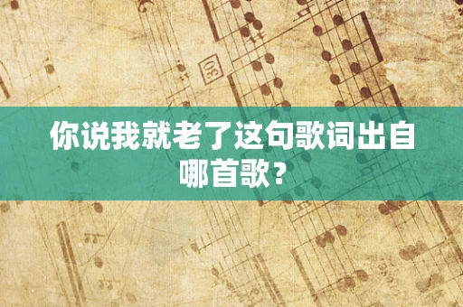 你说我就老了这句歌词出自哪首歌？