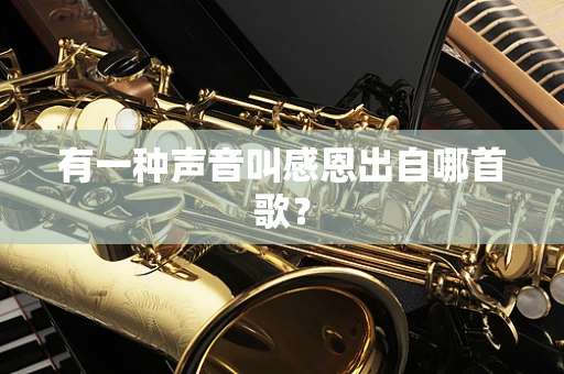 有一种声音叫感恩出自哪首歌？