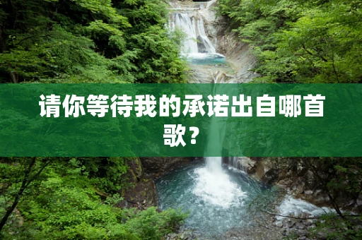 请你等待我的承诺出自哪首歌？