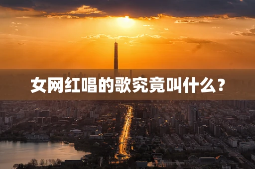 女网红唱的歌究竟叫什么？