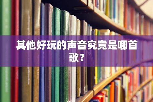 其他好玩的声音究竟是哪首歌？