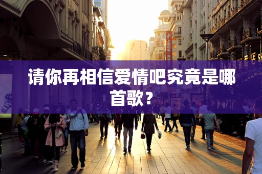 请你再相信爱情吧究竟是哪首歌？
