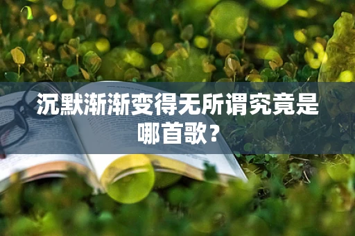 沉默渐渐变得无所谓究竟是哪首歌？
