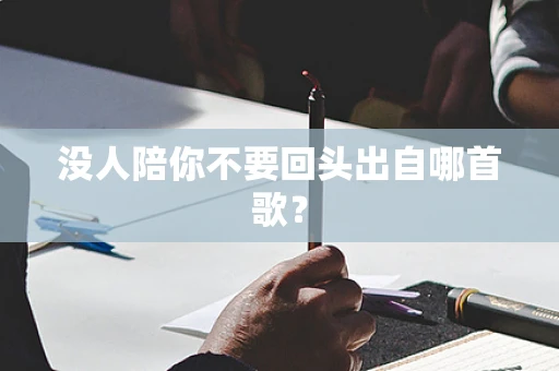 没人陪你不要回头出自哪首歌？