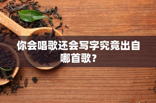 你会唱歌还会写字究竟出自哪首歌？