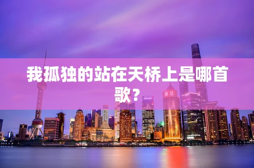 我孤独的站在天桥上是哪首歌？