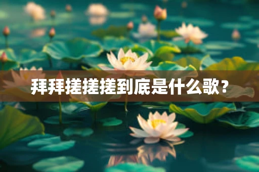 拜拜搓搓搓到底是什么歌？
