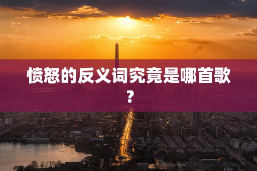 愤怒的反义词究竟是哪首歌？