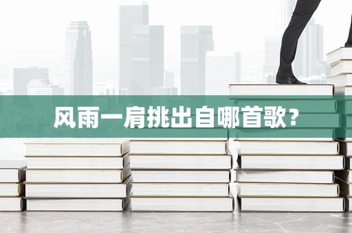 风雨一肩挑出自哪首歌？
