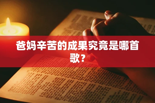 爸妈辛苦的成果究竟是哪首歌？