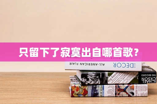 只留下了寂寞出自哪首歌？
