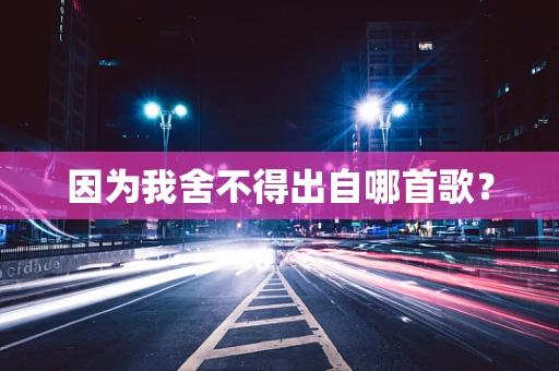 因为我舍不得出自哪首歌？