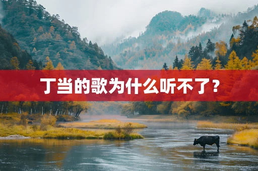 丁当的歌为什么听不了？