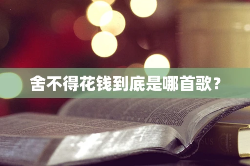 舍不得花钱到底是哪首歌？