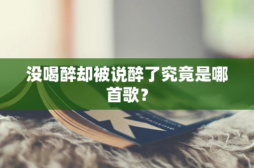 没喝醉却被说醉了究竟是哪首歌？