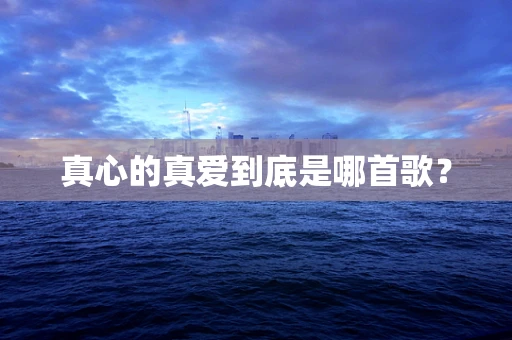 真心的真爱到底是哪首歌？