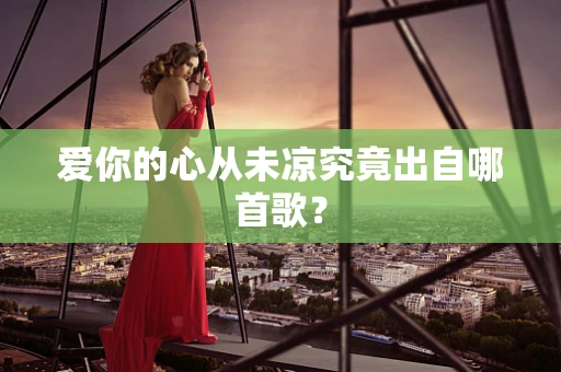爱你的心从未凉究竟出自哪首歌？