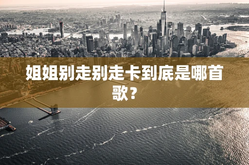 姐姐别走别走卡到底是哪首歌？