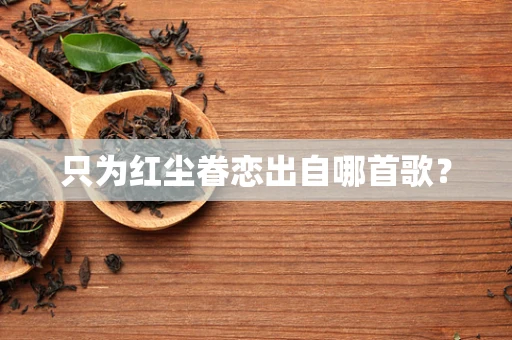 只为红尘眷恋出自哪首歌？