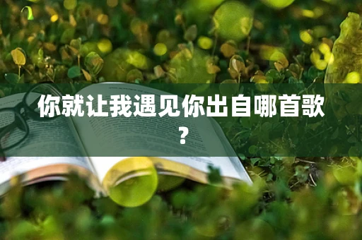你就让我遇见你出自哪首歌？