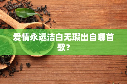 爱情永远洁白无瑕出自哪首歌？
