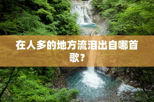 在人多的地方流泪出自哪首歌？